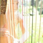 playing thru harp strings